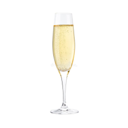 Lot de 6 verres a champagne